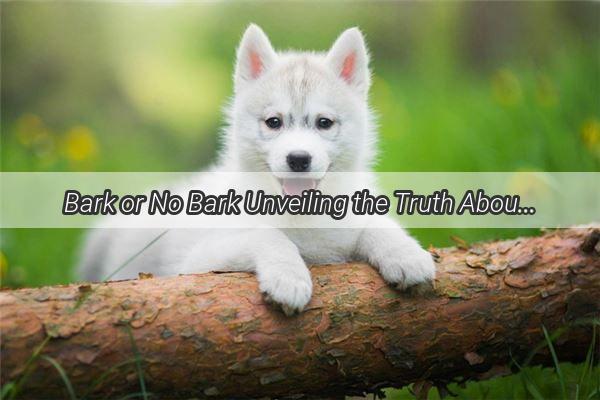 Bark or No Bark Unveiling the Truth About Dogs as the Ultimate Rodent Repellents